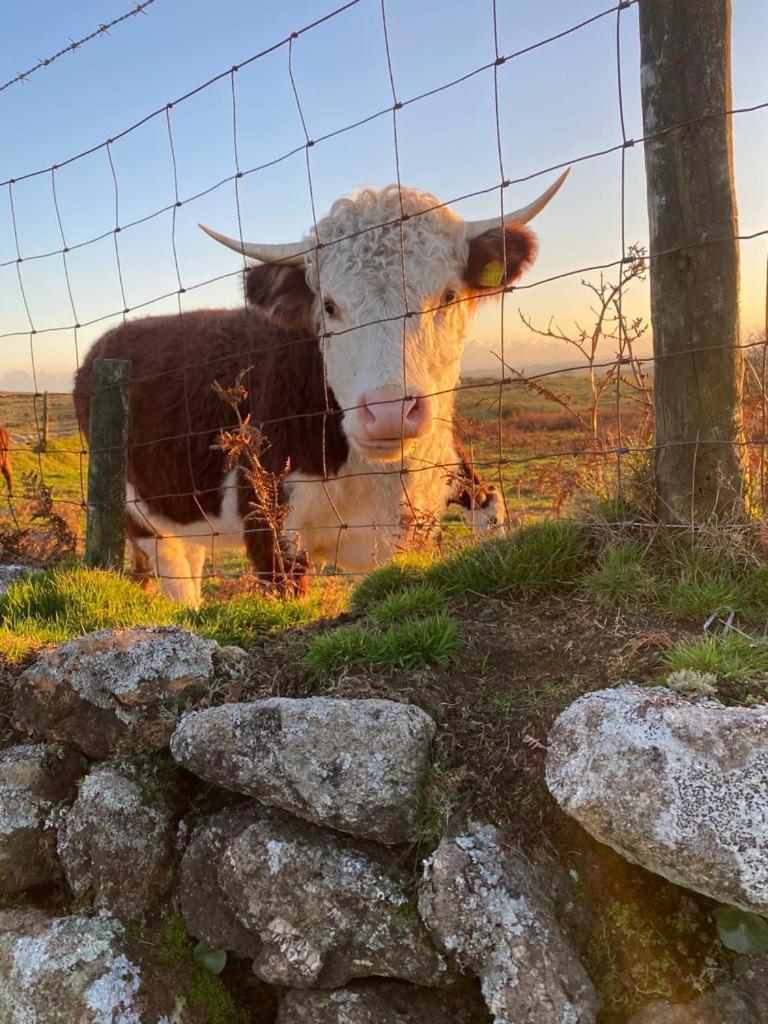 تافيستوك The Old Post House - Historic Dartmoor Home المظهر الخارجي الصورة