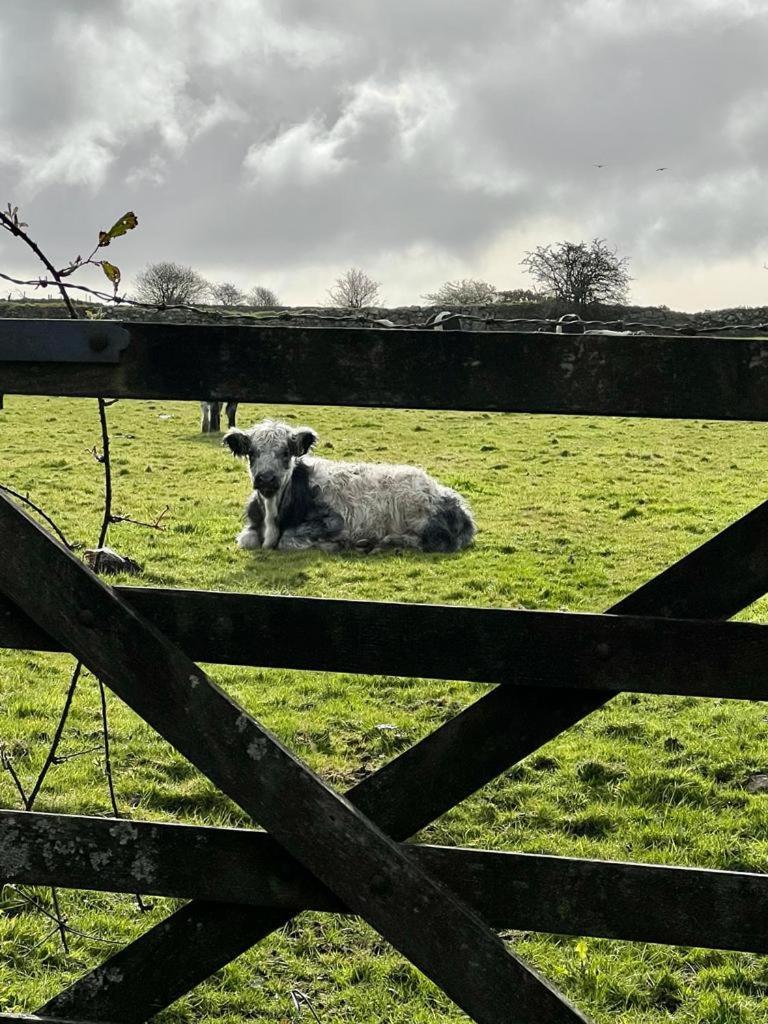 تافيستوك The Old Post House - Historic Dartmoor Home المظهر الخارجي الصورة